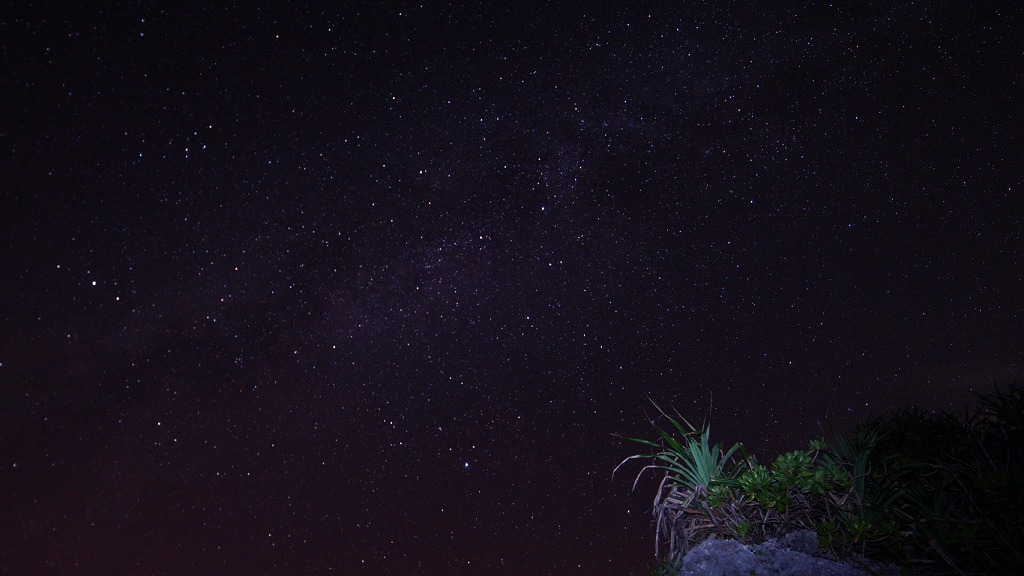 MIYAKOJIMA Coconut Crab Night Tour
