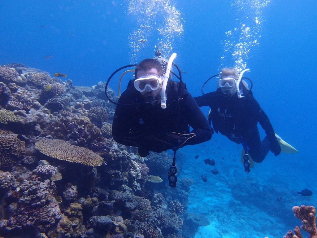 【Minna Island, Sesoko Island , OKINAWA】Boat FUN Diving (2Dives)  