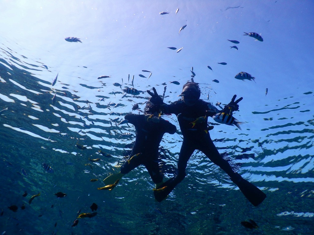 【Minna Island, Sesoko Island , OKINAWA】VIP Boat Snorkeling  (2Sites)  